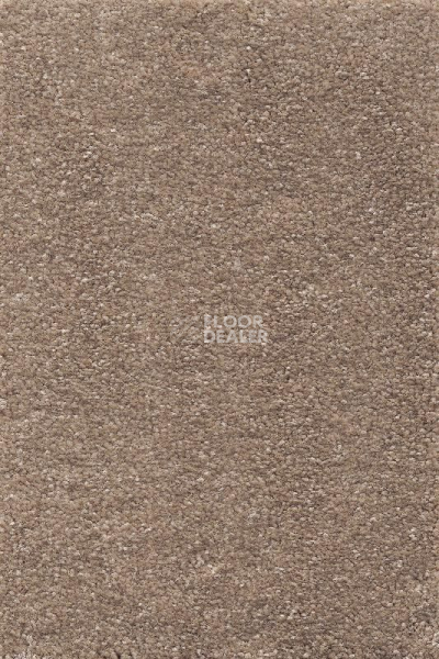 Ковролин AW Promenade 34 фото 1 | FLOORDEALER